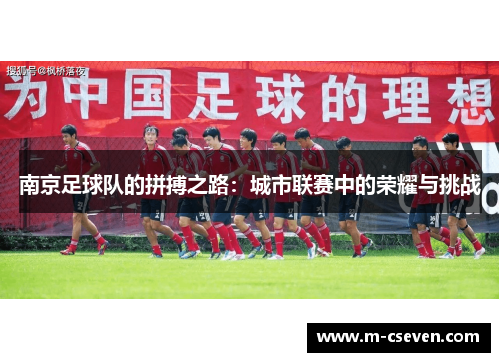 南京足球队的拼搏之路：城市联赛中的荣耀与挑战