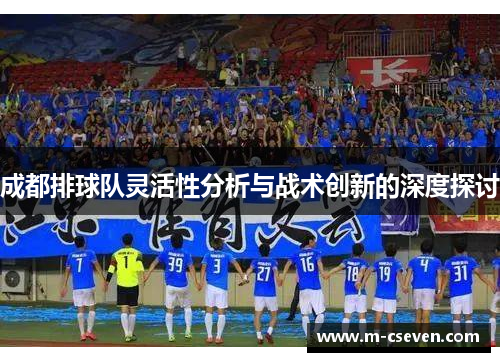 成都排球队灵活性分析与战术创新的深度探讨