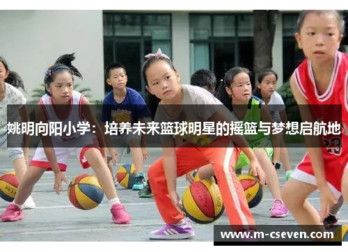 姚明向阳小学：培养未来篮球明星的摇篮与梦想启航地