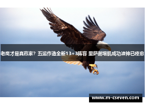 老鹰才是真赢家？五运作造全新13+3阵容 里萨谢增肌成功波神已痊愈
