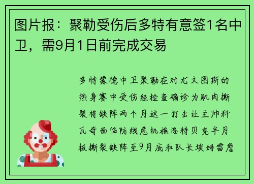 图片报：聚勒受伤后多特有意签1名中卫，需9月1日前完成交易